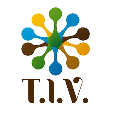 Tejas International Ventures